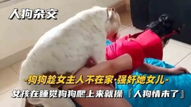 狗狗趁女主人不在家，色狗發情嗷嗷大叫把她女兒給操了