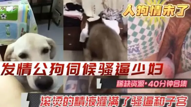 【人獸】發情公狗伺候騷逼少婦騷逼和子宮裡灌滿了滾燙的公狗精液