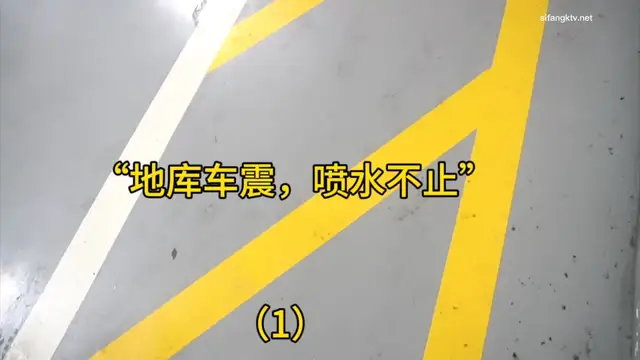 車庫車震#