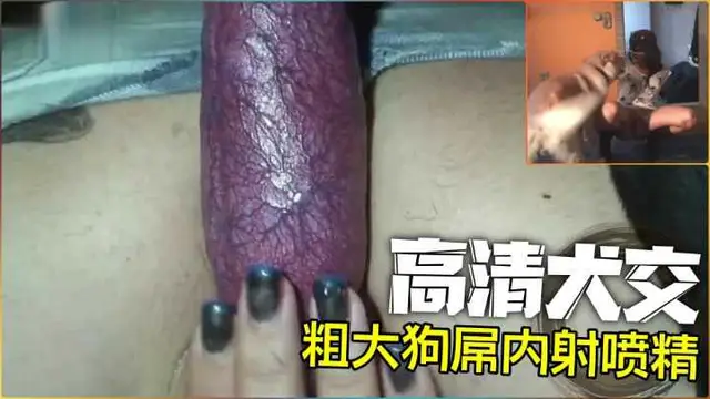 【高畫質犬交】巨根拔出來瞬間噴精-變態