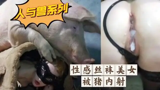 性感絲襪美女被豬內射-變態