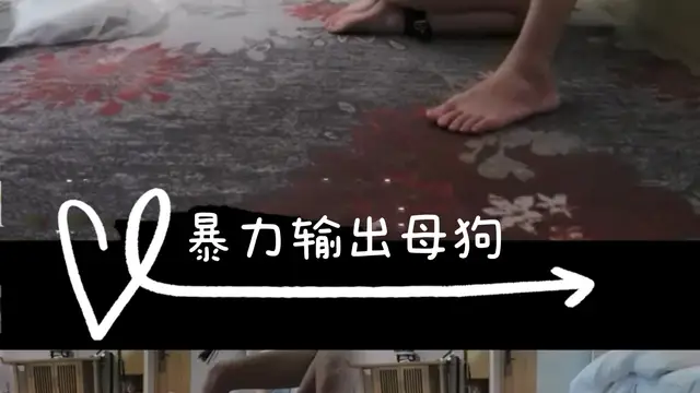暴力輸出母狗-變態
