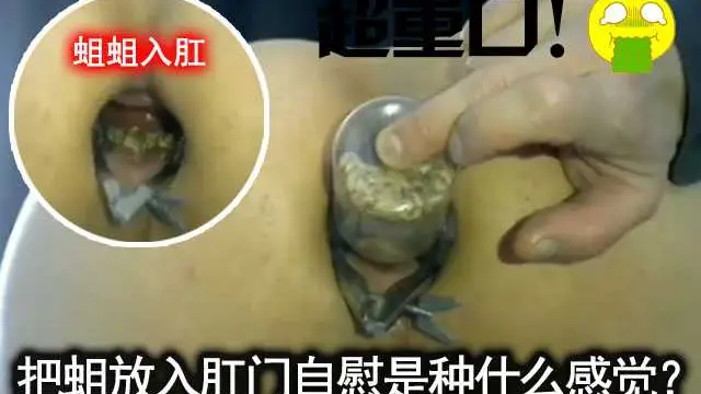重口慎入！大膽偽娘把一罐蛆塞入肛門感受蠕動的自慰感覺-變態