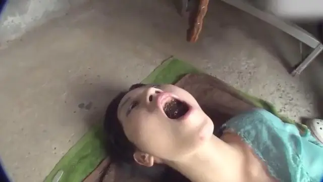 喜歡吃屎的母狗