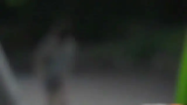 憋不住了了，就地大小便
